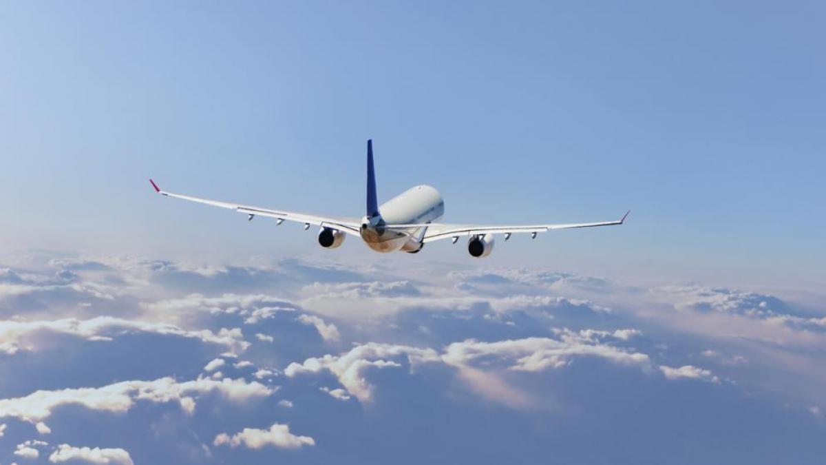 Cómo vuela un avión